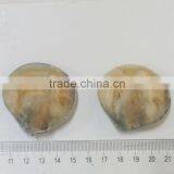 Frozen Cooked Baby Clam Size 31-40 thumbnail-2