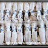 Frozen Chinese Baby Squid thumbnail-1