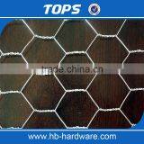 Hebei Factory Supply Fine Hexagonal Wire Netting/Gabion Slope Protection Netting/Cabion Wire Roll(Manufacturer) thumbnail-4