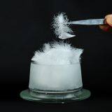 Feather and Down thumbnail-3