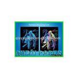 RAIN-SET5,Engraving Card,engraving Art Card,engraving thumbnail-1