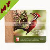 Best Quality Free Sample Beer Wood Coaster for Gifts thumbnail-5