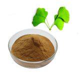 High Quality Natural Ginkgo Biloba Leaf Extract Ginko Biloba Powder