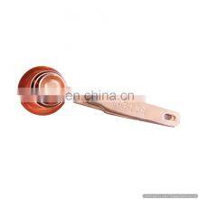 Copper Metal Measuring Spoons
