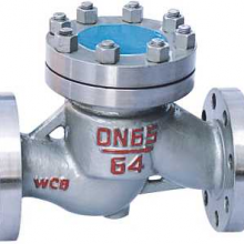 Vertical Check Valve
