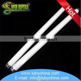 Multifunctional Fluorescent Tube for UVB Supplies thumbnail-6