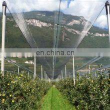 100% Virgin HDPE Apple Tree Plastic Anti Hail Net For Agriculture thumbnail-2