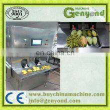 Papaya Peeling Machine Skiving Machine Peeler Industrial Machine thumbnail-2