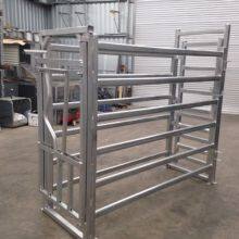 2025 New Mold Steel Tube Cattle Handling Crush thumbnail-4