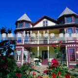 VIT JS-1 Indoor Decoration Paint/coating (waterproof)