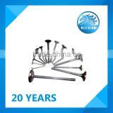 R4105ZD R4108 ZH4102 K4100 R495 Engine Valve For Generator Set