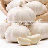 Fresh Dry Normal White Red Purple Garlic thumbnail-2