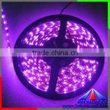 Guaranteed Quality Best Selling Colorful Decoration3528 Led Strip Waterproof Ip68 PU Glue thumbnail-4