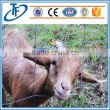 Professional Manufacturer Cheap Galvanized Wire Farm Fence for Cattle/sheep thumbnail-4