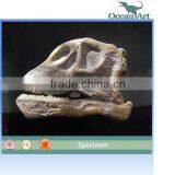 Museum Artificial Skeleton Dinosaur Skull Fossil Artwork thumbnail-1
