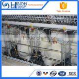 Popular Selling Layer Cage Chicken Cage Layer Cages for Sale thumbnail-1