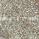 2016 New Crop High Quality Raw Buckwheat Price thumbnail-1