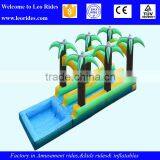 China Henan Inflatable Slide, Giant Inflatable Water Park Slide thumbnail-2