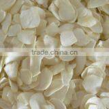 Garlic Flakes White Garlic Flakes From the Chinese Factory With KOSHER,ISO thumbnail-1
