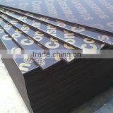 18mm Film Faced Plywood With Cheap Prices thumbnail-3
