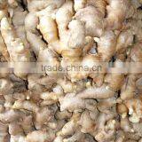 Market Prices for Ginger/ Yellow Dry Ginger Dried Ginger Pieces thumbnail-1