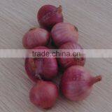 2015 Crop Fresh Red Onion for Sale With Cheap Price From China thumbnail-5