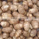 Eddoes (fresh Taroes) thumbnail-4