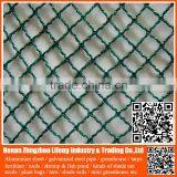 100% Virgin HDPE Anti Bird Netting / pe Protection Net / Plastic Net With uv thumbnail-3