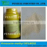 Kresoxim-methyl fungicide 50%WDG, 143390-89-0
