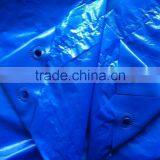 Reinforced Cross Laminated Tarpaulin With Eyelets, Green House Tarpaulin Sheet thumbnail-1