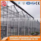 Factory Direct Steel Frame Glass Greenhouse Fertilization System for Sale thumbnail-4