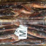 2017 New Arrive Frozen Argentina Illex Squid thumbnail-3