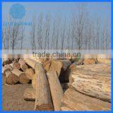 Factory Direct Paulownia Door Wood thumbnail-5