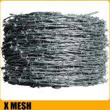 Double Strand Galvanized Barbed Wire For Security Fencing And Barriers thumbnail-4