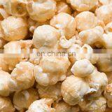 Fully Automatic Commercial Popcorn Production Line Electric Popcorn Machine Price For Sales thumbnail-6