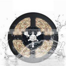 Human Body Smart Induction Led Light Cabinet Light Strip With Battery Box Light Strip