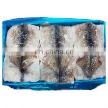 Hot Sale Frozen Skin on Squid Fillet Block With Wing