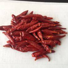 Dried Hot Chaotian Chili Sanying Chili Stemless Tianjin Chili 8000 to 10000 SHUfree of Aflatoxin Chilli thumbnail-3