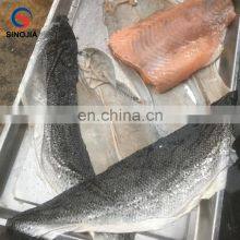 Safe Operation Fish Skin Removing Machine / Skinning Machine for Fish thumbnail-4