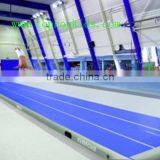 2014 Exported DWF Outdoor Inflatable Tumble Track For Sale thumbnail-1