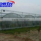 Agricultural Hydroponic Grow Greenhouse thumbnail-3