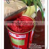 Factory Supply High Concentrated 70g-3KG CANNED TOMATO PASTE thumbnail-4