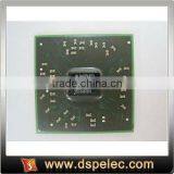 Computer Chips 218-0697014 216-0683008