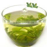 Organic Anti-aging Tea High Mountain Sweet Kuding Cha China Famous Herbal Tea Small Leaf Kuding Green Tea thumbnail-5