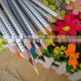 7"12pcs Water color pencil in metal tube/ senior grade water color pencil with end dip