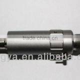 Dental Model LY-M-01