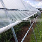 Tunnel Greenhouse thumbnail-3