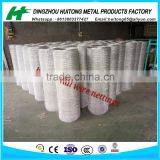 Square Chicken Wire Mesh /Galvanized Hexagonal Wire Mesh Nettings in Dingzhou Factory thumbnail-2
