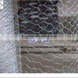 hexagonal wire mesh