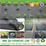 anti-grass cloth and non woven control weed mat